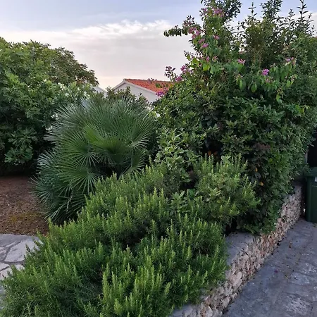 Apartman Marinero 1