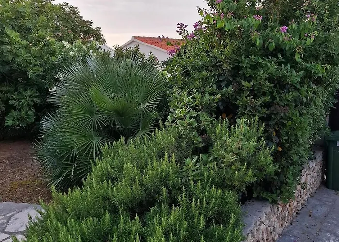 Apartman Marinero 1